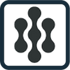 Ortholites Insole